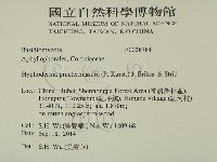 登錄號:F0028784藏品圖，第2張