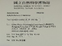 登錄號:F0028785藏品圖，第2張