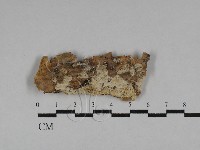 登錄號:F0028788藏品圖，第1張