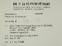 登錄號:F0028790藏品圖，第2張