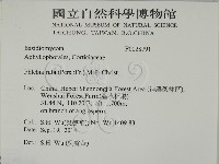 登錄號:F0028791藏品圖，第2張
