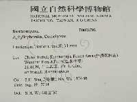 登錄號:F0028792藏品圖，第2張