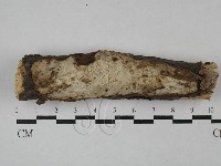 登錄號:F0028792藏品圖，第1張