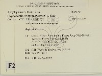 登錄號:F0028795藏品圖，第2張