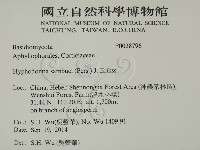 冇骨消絲齒菌藏品圖，第2張