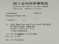 栓菌屬藏品圖，第2張