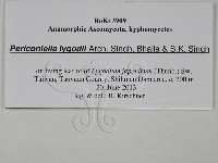 登錄號:F0028801藏品圖，第3張