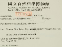 登錄號:F0028802藏品圖，第2張