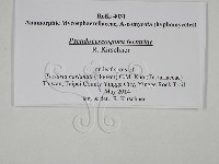 登錄號:F0028802藏品圖，第3張