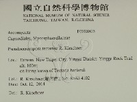 登錄號:F0028803藏品圖，第2張