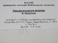 登錄號:F0028803藏品圖，第3張