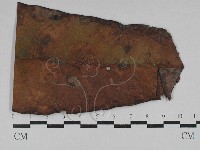 登錄號:F0028803藏品圖，第1張