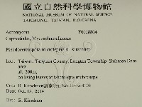 登錄號:F0028804藏品圖，第2張