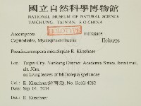 登錄號:F0028805藏品圖，第2張