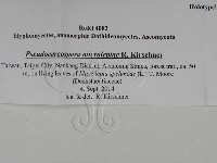 登錄號:F0028805藏品圖，第3張