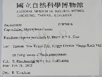 登錄號:F0028806藏品圖，第2張