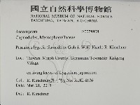 登錄號:F0028808藏品圖，第2張