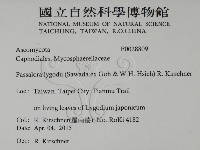 登錄號:F0028809藏品圖，第2張
