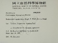 登錄號:F0028810藏品圖，第2張
