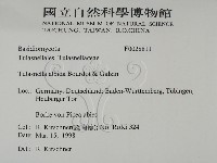 登錄號:F0028811藏品圖，第2張