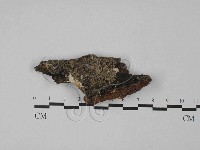 登錄號:F0028811藏品圖，第1張