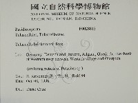 登錄號:F0028813藏品圖，第2張