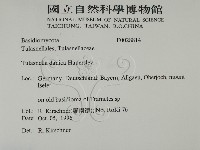 登錄號:F0028814藏品圖，第2張