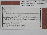 登錄號:F0028814藏品圖，第3張