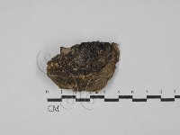 登錄號:F0028814藏品圖，第1張