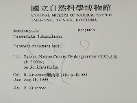 登錄號:F0028817藏品圖，第2張