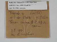 登錄號:F0028817藏品圖，第3張