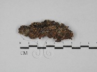 登錄號:F0028817藏品圖，第1張