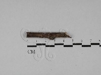 登錄號:F0028818藏品圖，第1張