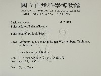 登錄號:F0028819藏品圖，第2張