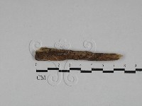 登錄號:F0028819藏品圖，第1張