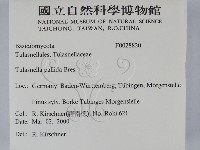登錄號:F0028820藏品圖，第2張
