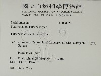 登錄號:F0028823藏品圖，第2張