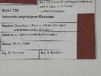 登錄號:F0028824藏品圖，第3張