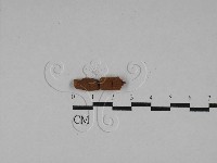 登錄號:F0028824藏品圖，第1張