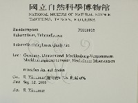 登錄號:F0028825藏品圖，第2張