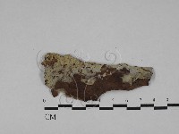 登錄號:F0028828藏品圖，第1張