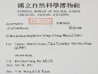 登錄號:F0028830藏品圖，第2張