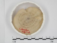 登錄號:F0028830藏品圖，第1張