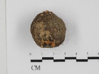 登錄號:F0028831藏品圖，第1張
