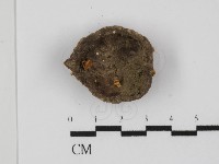 登錄號:F0028831藏品圖，第3張