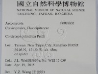 登錄號:F0028832藏品圖，第2張
