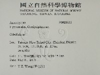 登錄號:F0028833藏品圖，第2張