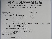 登錄號:F0028834藏品圖，第2張