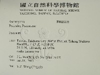 登錄號:F0028835藏品圖，第2張