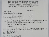 登錄號:F0028836藏品圖，第2張